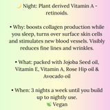 Intense Night Repair Elixir - Vitamin A + E - 30ml